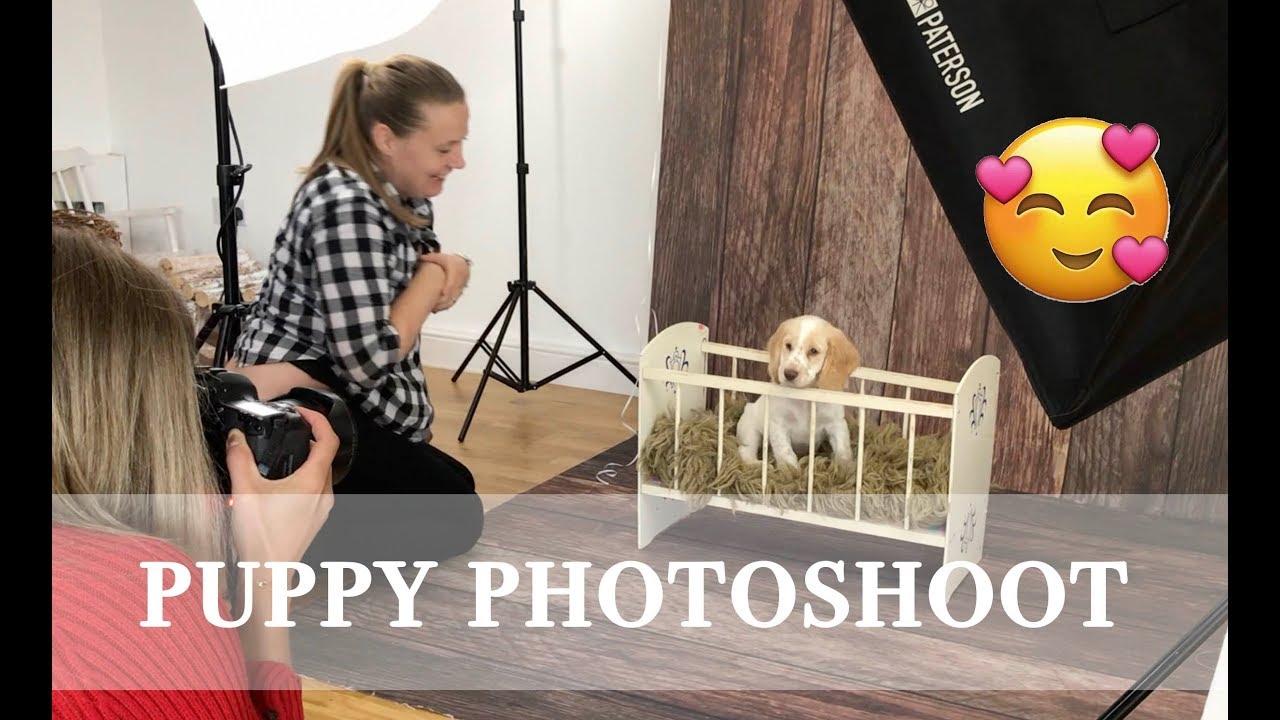 Puppy Photoshoot |  Behind the scenes pose ideas