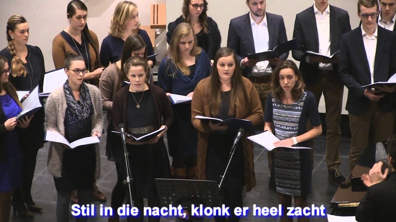 Stil in die nacht (Rejoice)