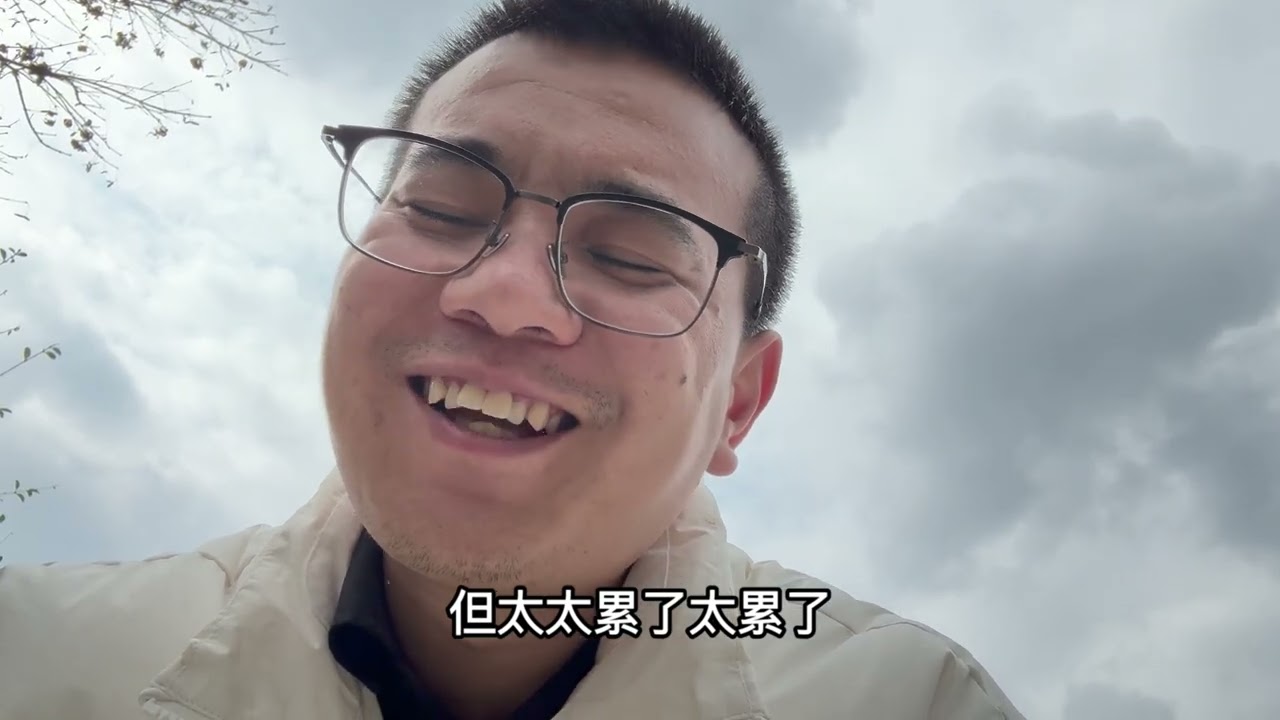 一隻流浪狗的心聲2