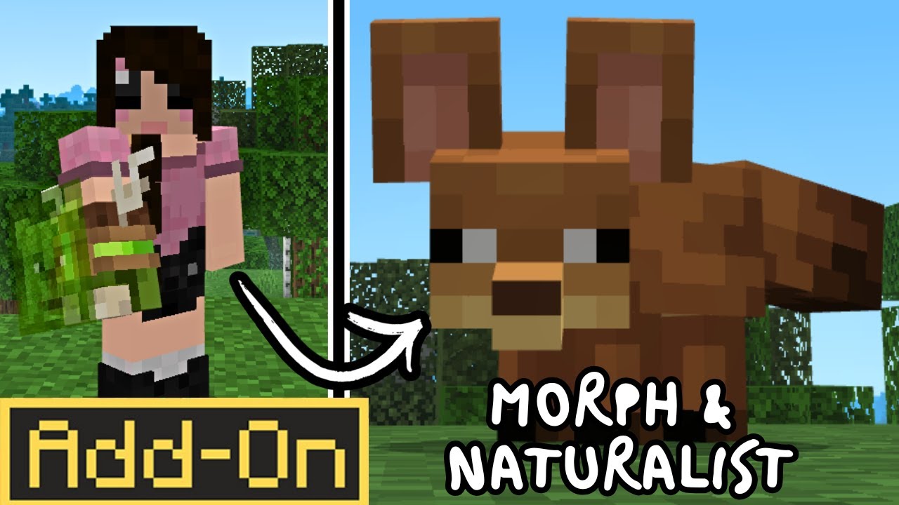 NATURALIST & MORPH - Turn into Wild Animals | Minecraft Marketplace Showcase