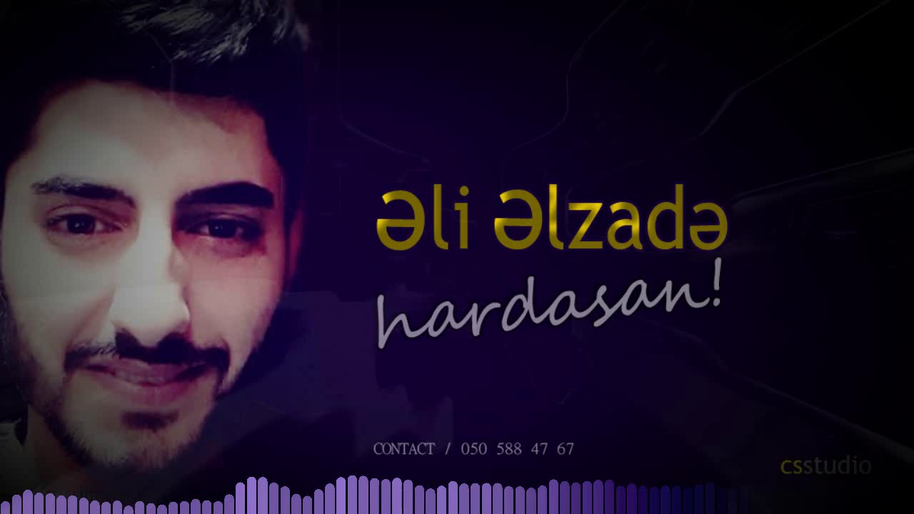 ELI ELIZADE HARDASAN 2020