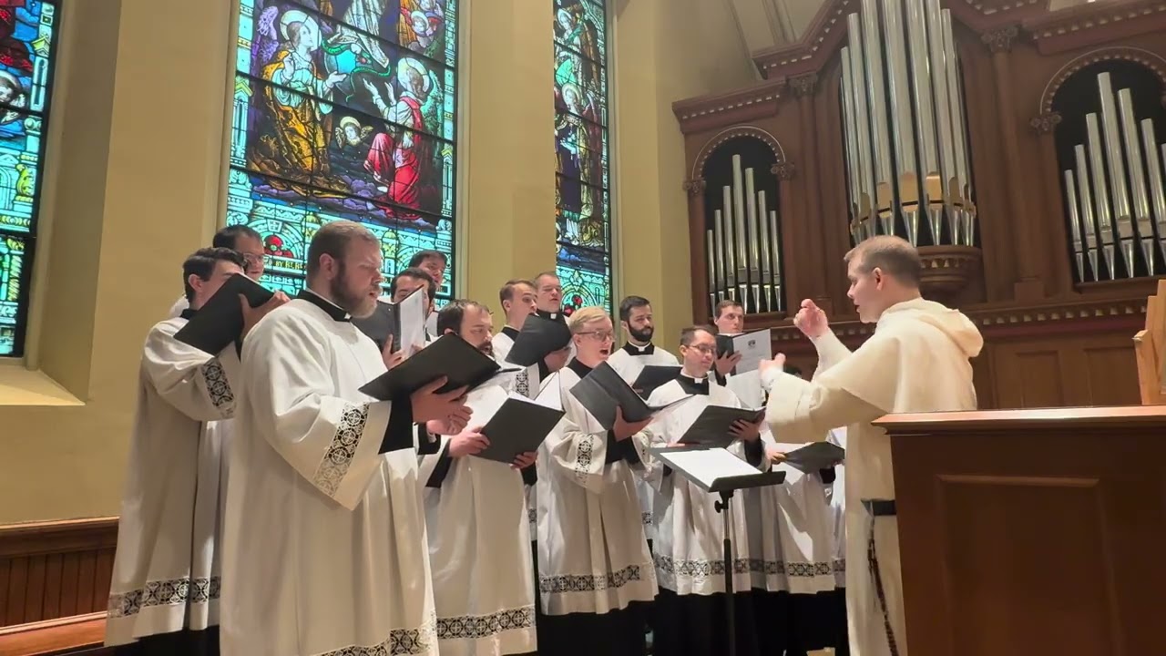 Miserere Mei (Allegri)