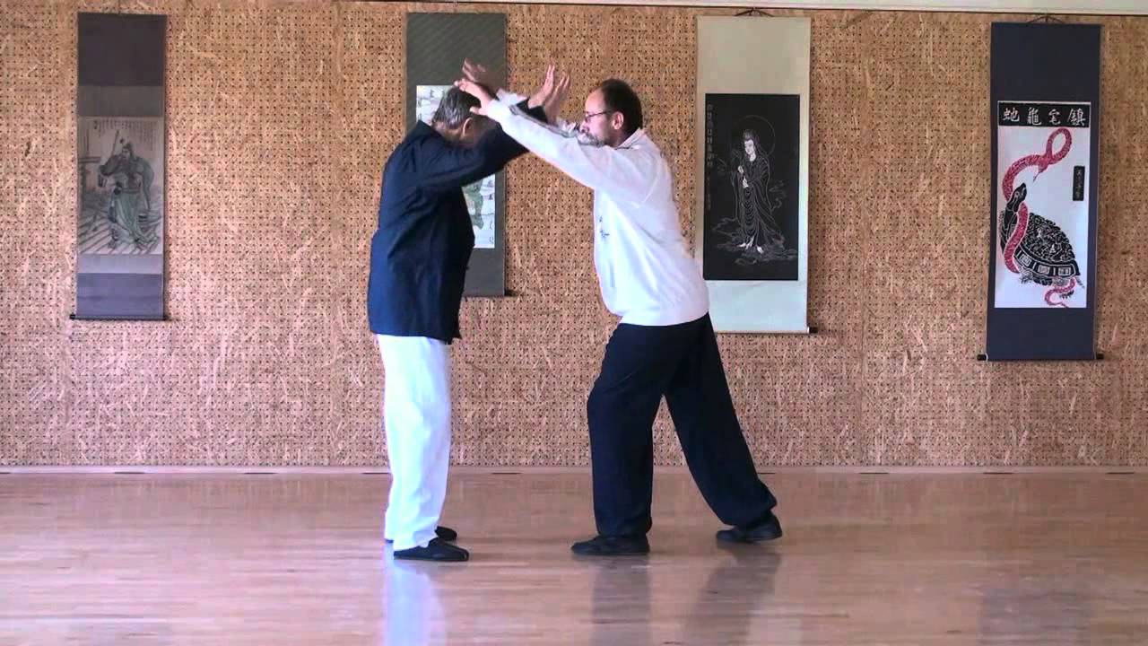 TAI CHI Applications_1 Beginning_François Hainry (Disciple de YOU Xuan De) ABTCC