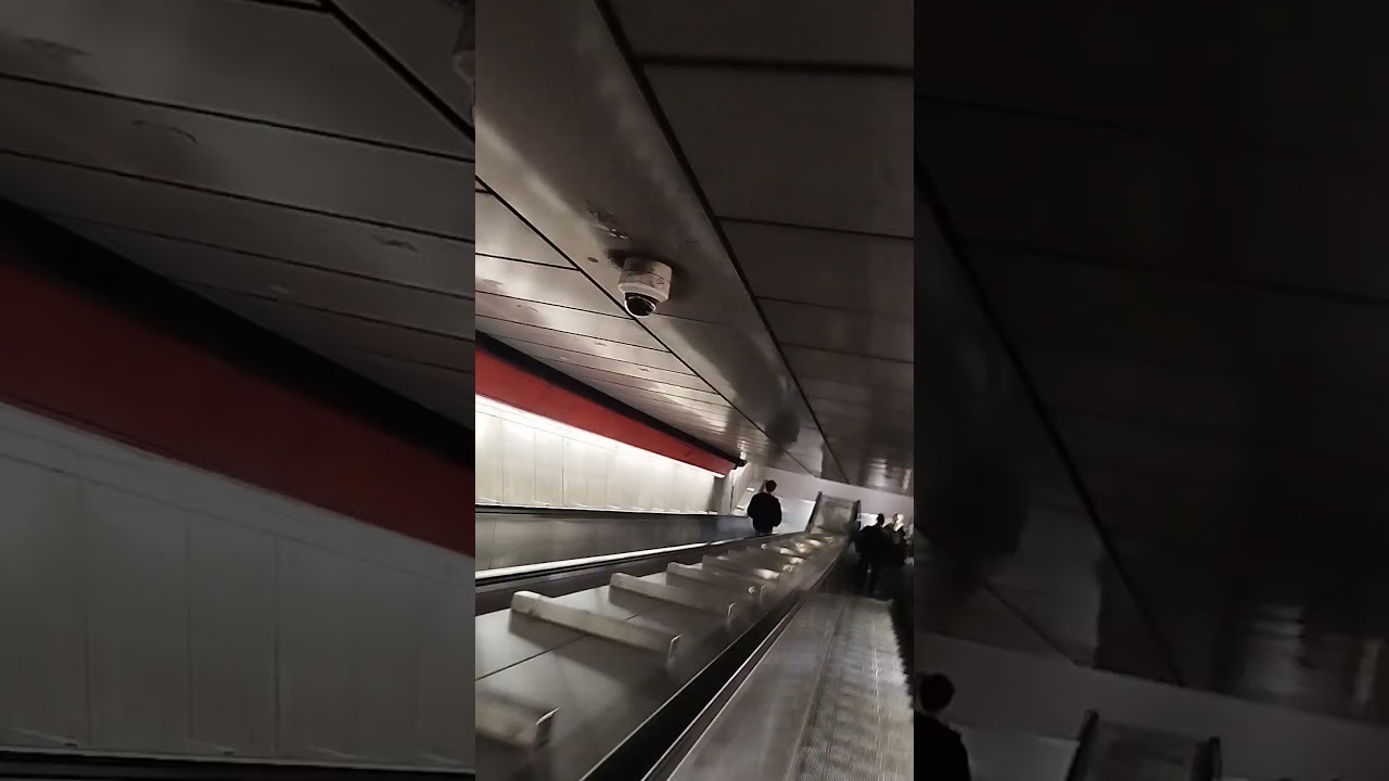 #metro#iscrivitialmiocanaleyoutube#grazie&hearts;️🌬️🪁🐘