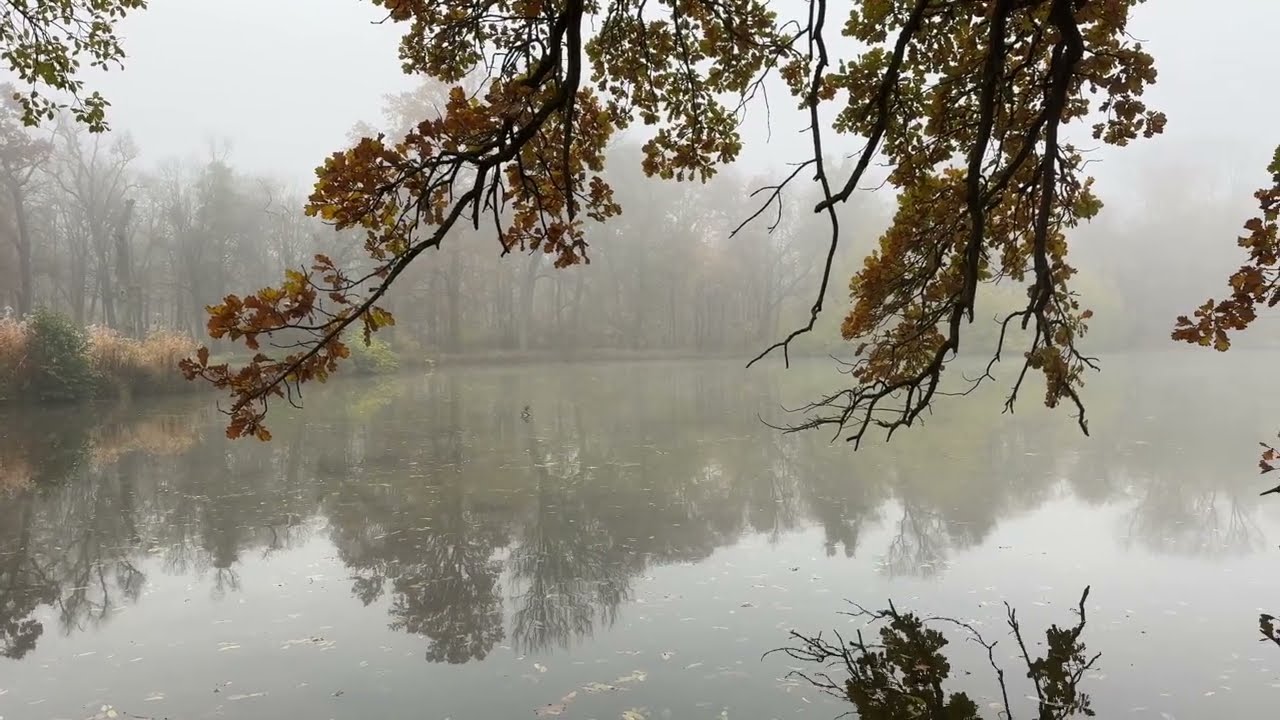 Melancholie - zum Gedenken an Erik Satie