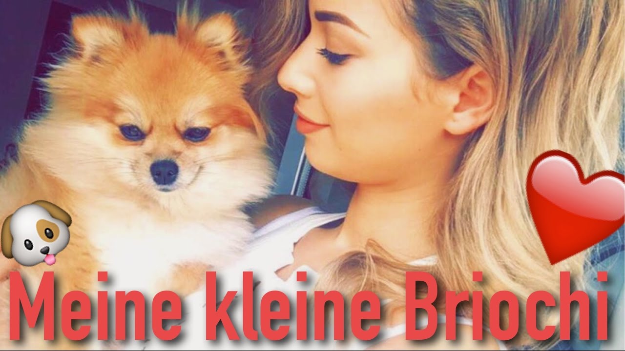 Auf Hundebetr&uuml;ger reingefallen I Storytime I Paola Maria