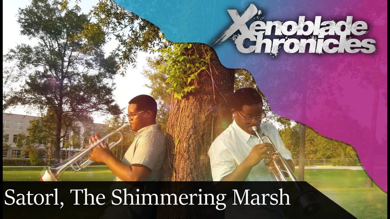 Xenoblade Chronicles: Satorl Marsh (Night) Cover || TonalRumblePak