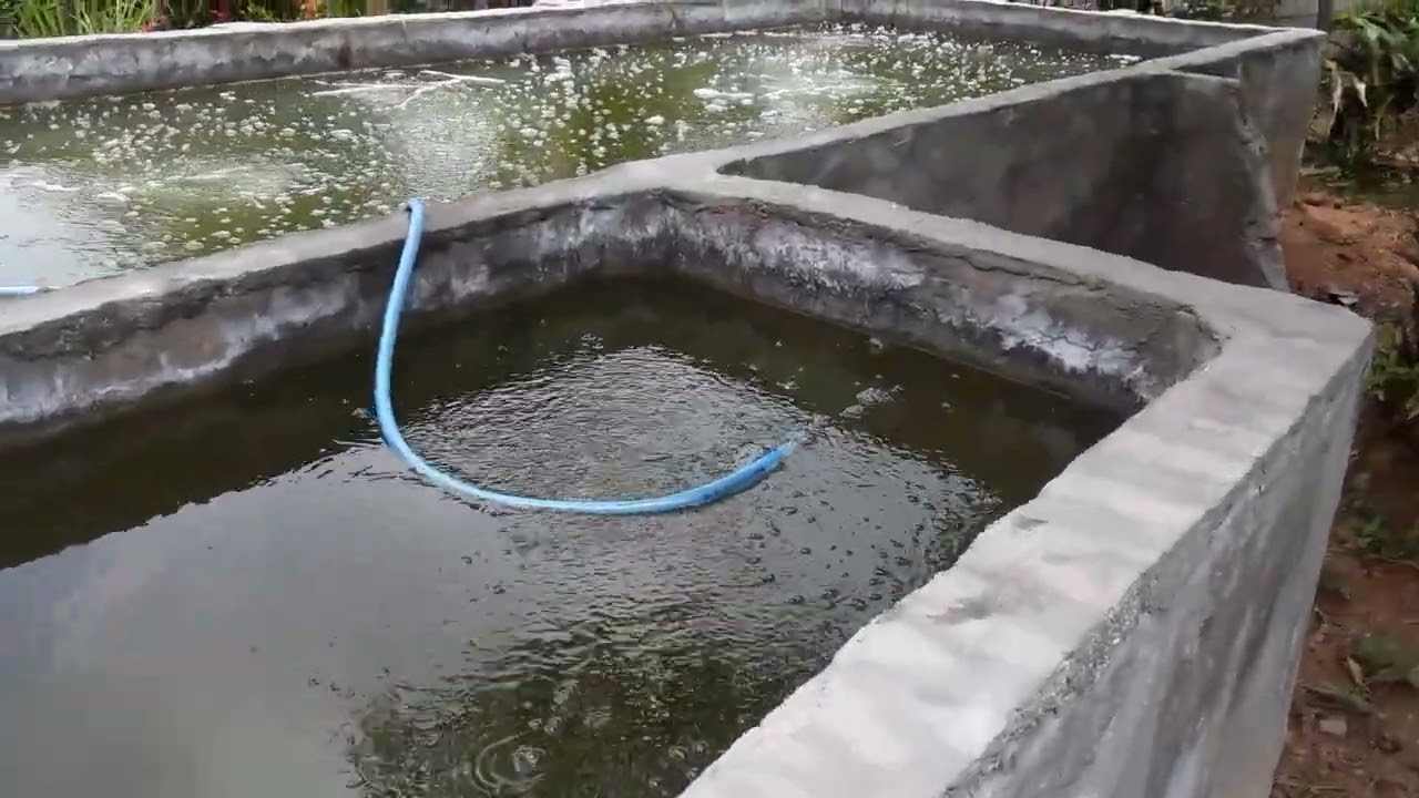 Pengaruh ukuran tabung penghubung mesin aerator kolam ikan nila