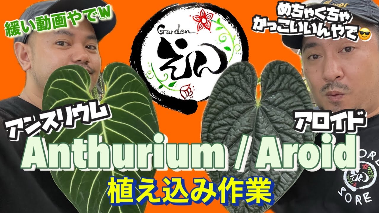 【アンスリウム・アロイド編】 魅惑のアロイドを植え込むよ！Gardenえん