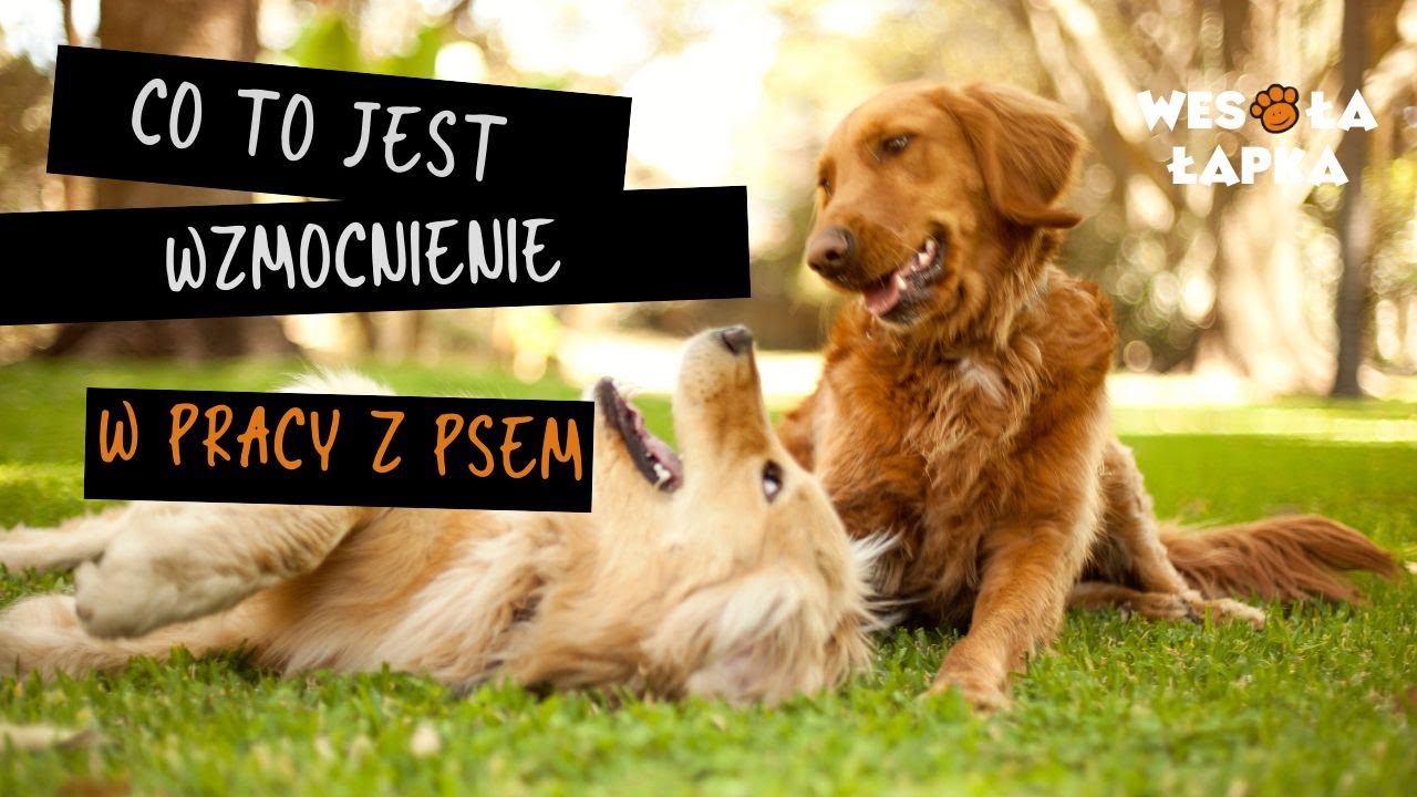 Co to jest 