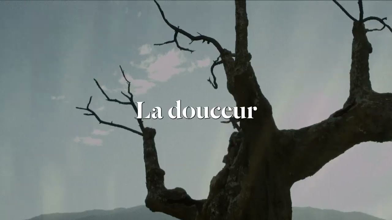 Dominique A - La douceur (Lyrics Video)