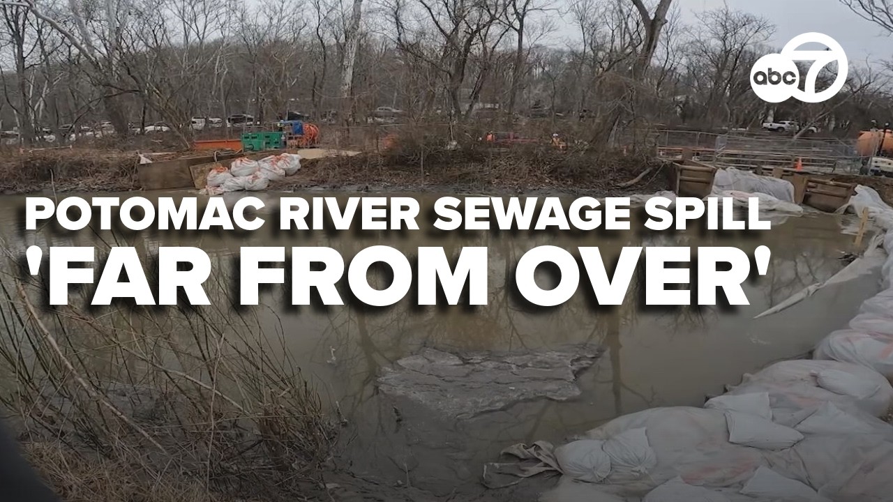 Potomac Riverkeeper Network questions DC Water's 'problematic' plan to clean sewage spill