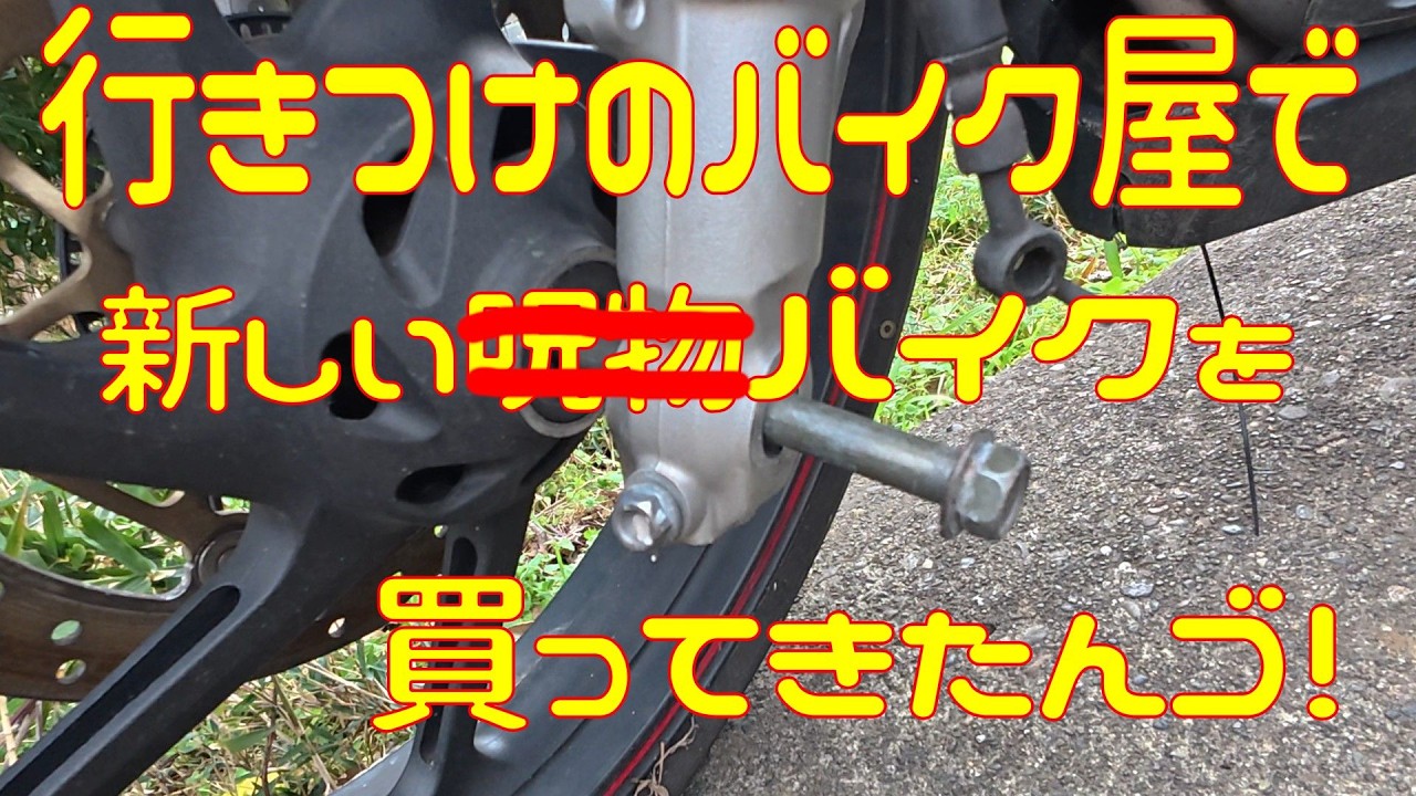 【新シリーズ】行きつけのバイク屋（ヤフオク）でほしい車種の一番安いやつを買ってきたんゴ【呪物】
