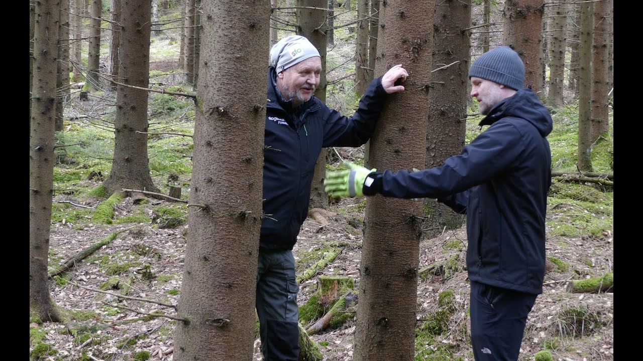 Rumslig fördelning - är det viktigt att gallra jämnt?