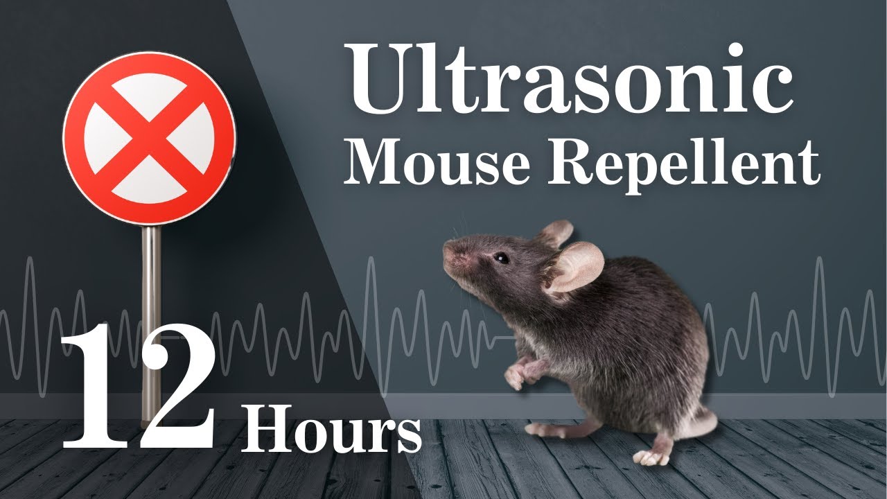 Powerful Ultrasonic Mouse Repellent | Keep Mice Away | 12 Hours