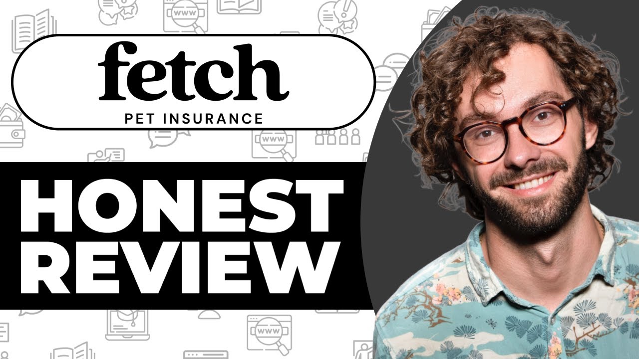 Petplan Pet Insurance Review - Usage Experience