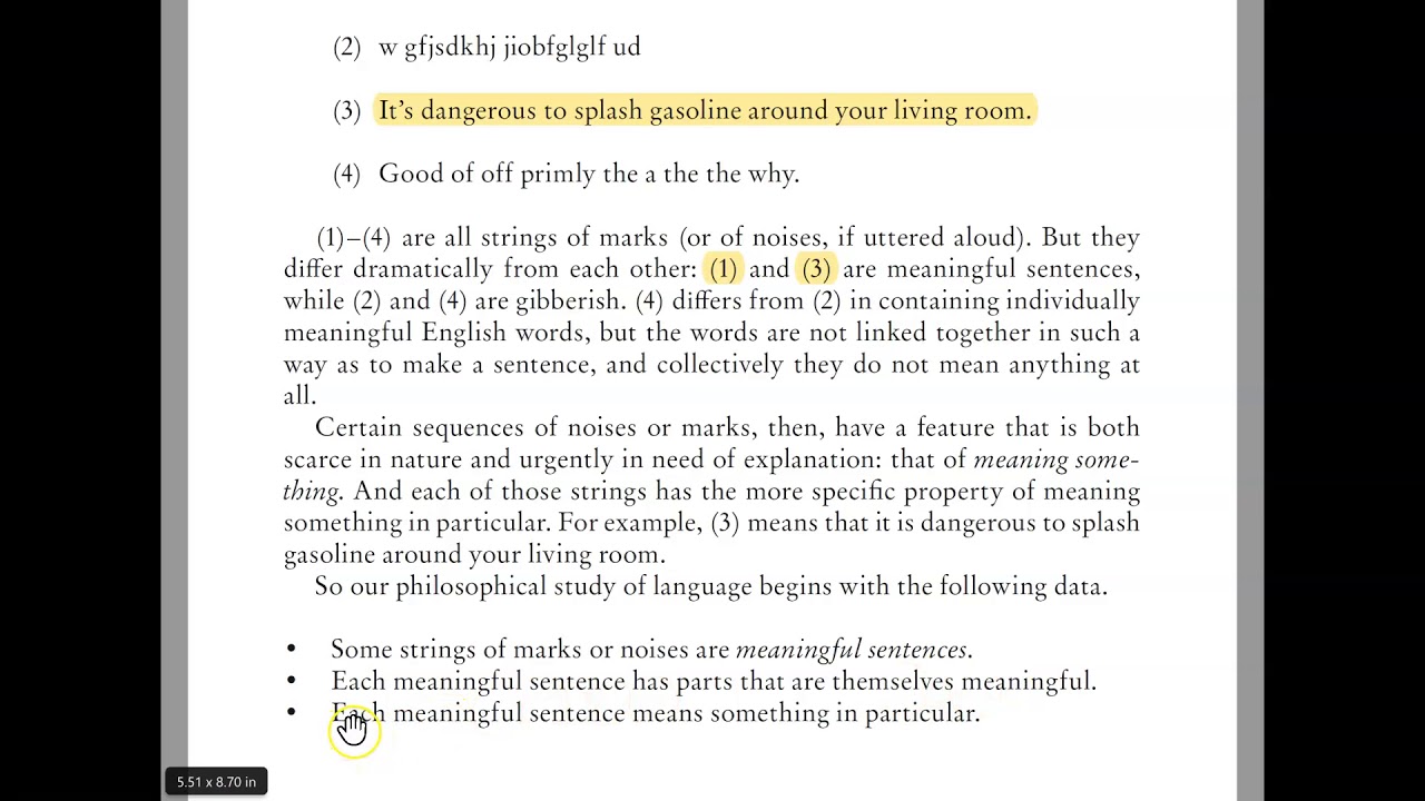 Philosophy Of Language INTRODUCTION