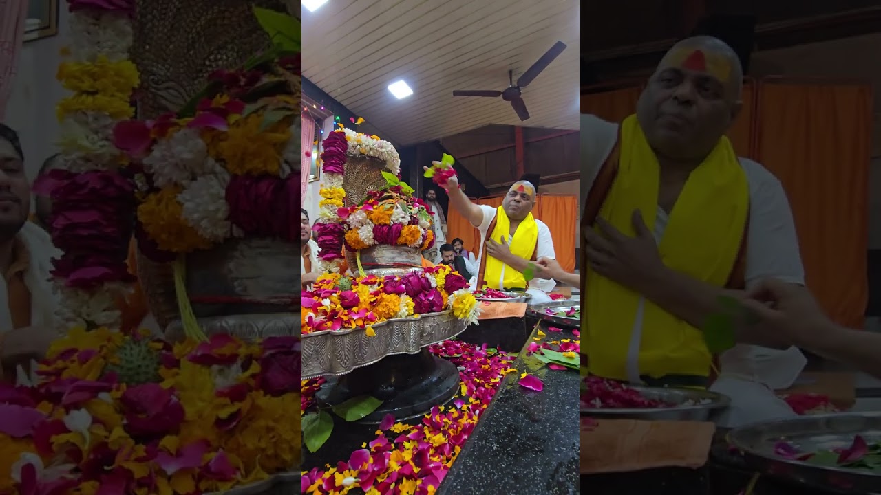 गुरुदेव संग रुद्राभिषेक #karaulisarkar #mahadev #mahakal #shiv #maa #shorts 
