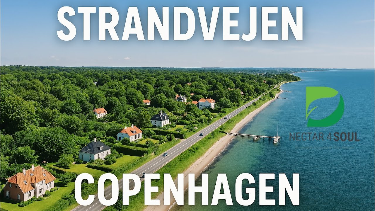 Drive through Strandvejen Copenhagen - The Scenic Beauty