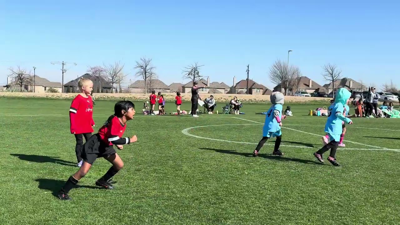 Ladybugs vs cheetahs 🐆 (7-1) ⚽️🥅🏟️