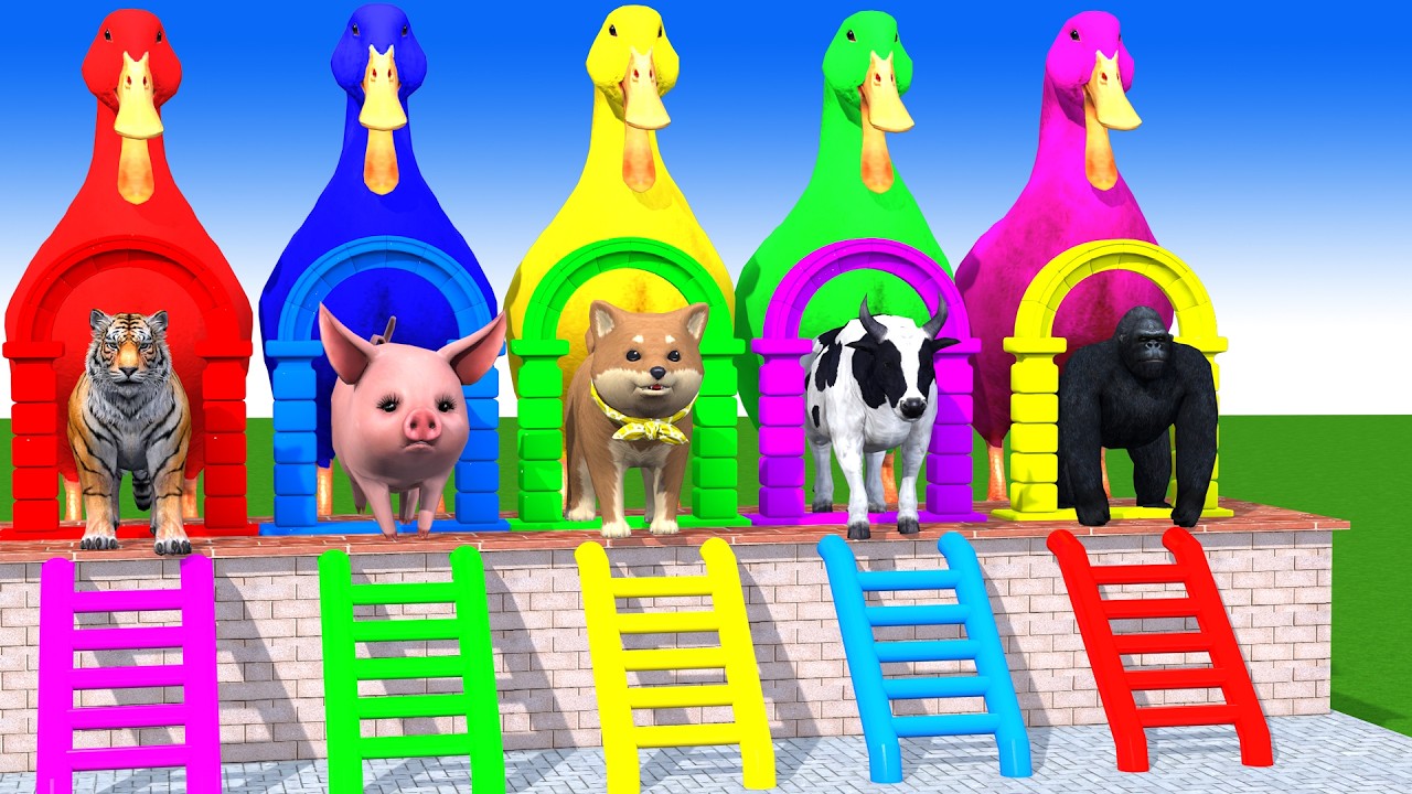 Long Slide Game With Cow Elephant Gorilla Hippopotamus Tiger 3d Animal Game Funny 3d Animals