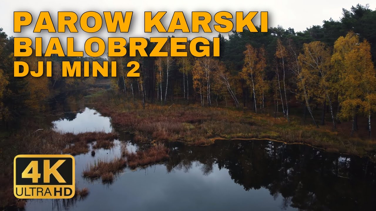 PAROW KARSKI BIALOBRZEGI POLAND | 4K DJI MINI 2