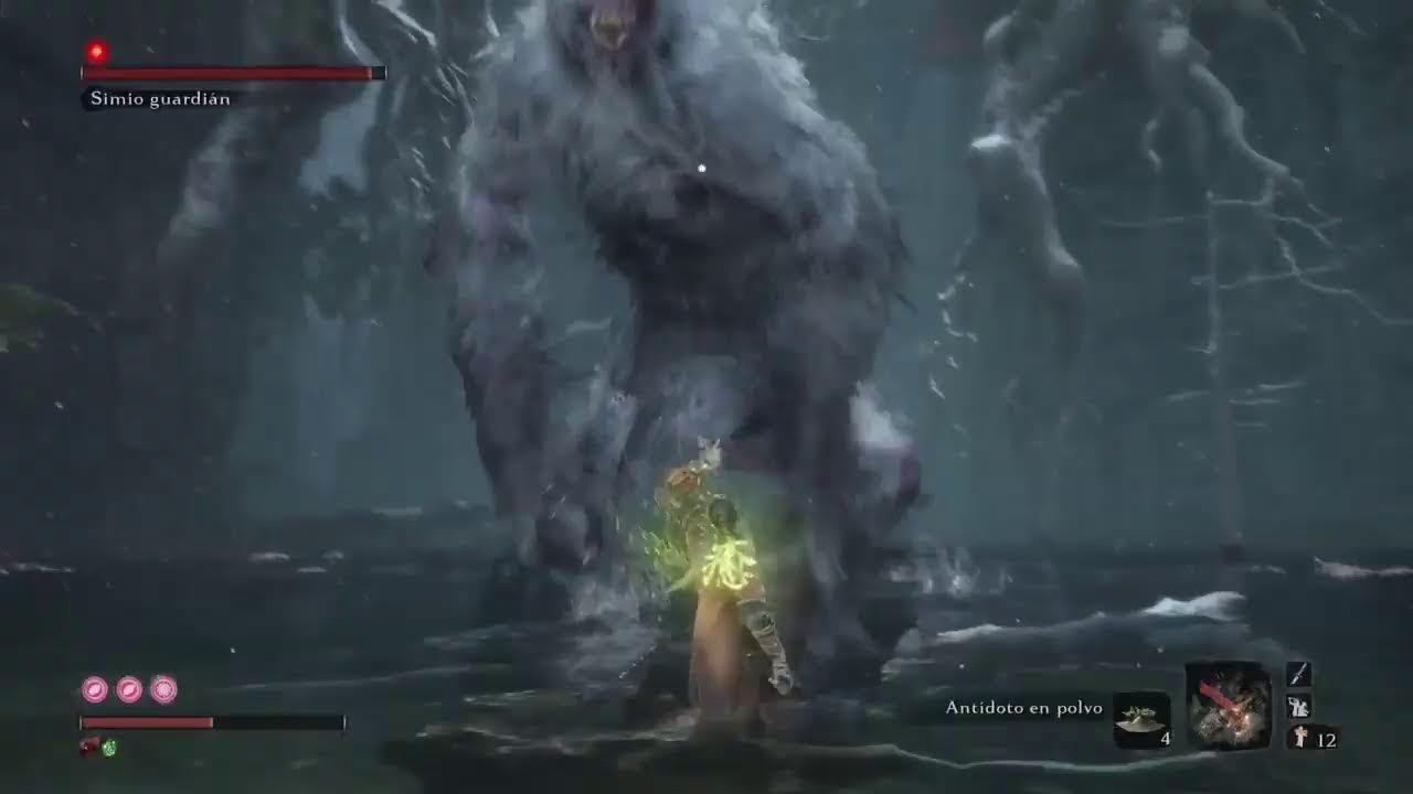 Sekiro 11