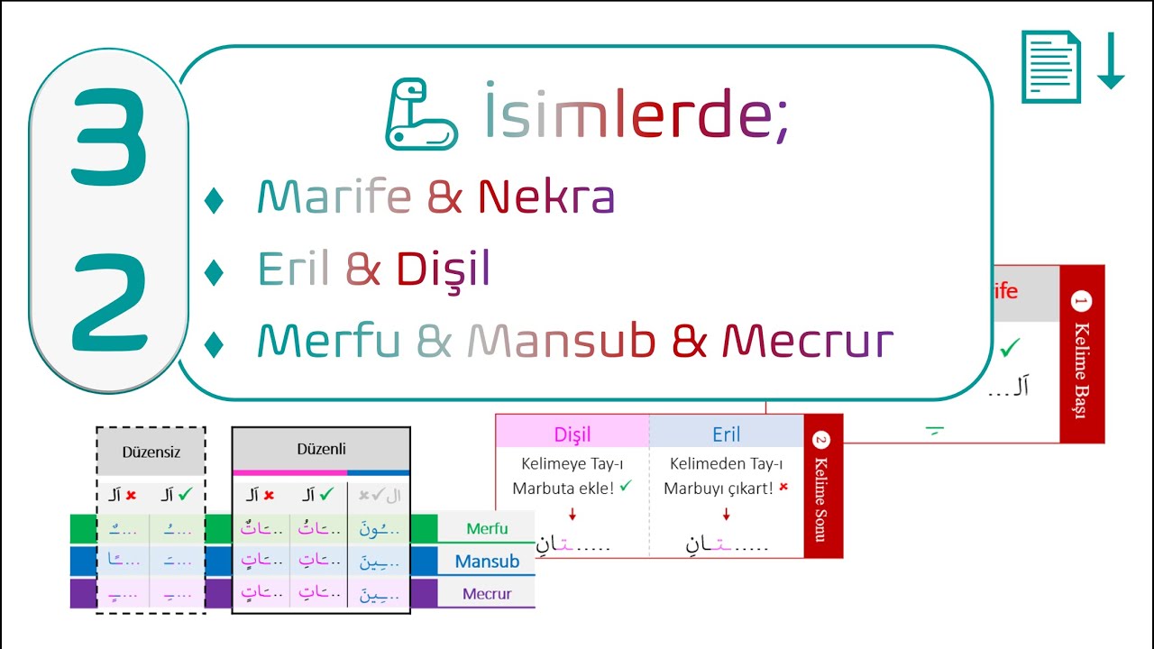 Sayfa 100 🦾 İsimlerde; Marife-Nekra, Dişil-Eril, Merfu-Mansub-Mecrur