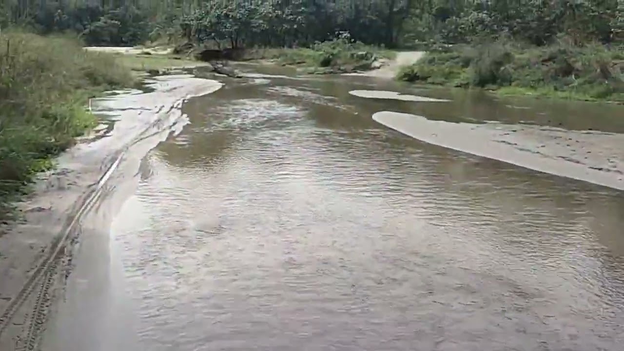 Valmikinagar deep forest tiger area.