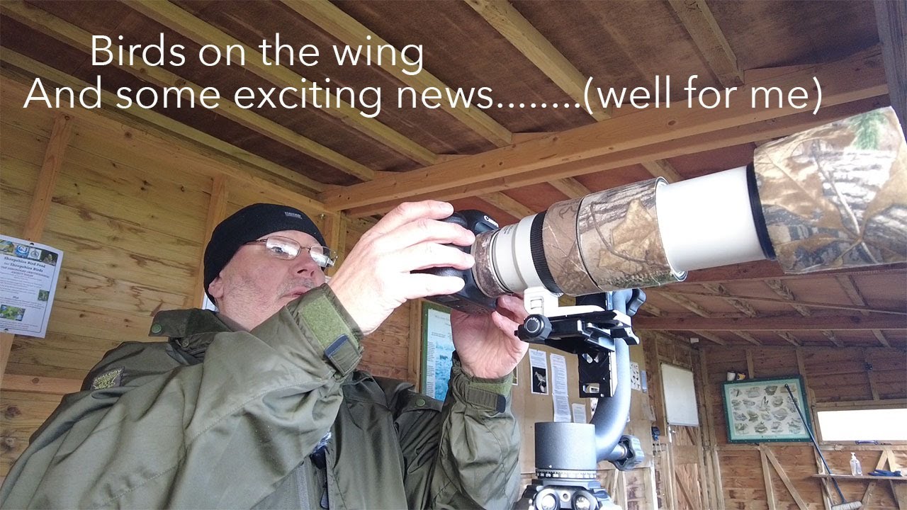 UK Nature and Bird Photography. A day out in Shropshire