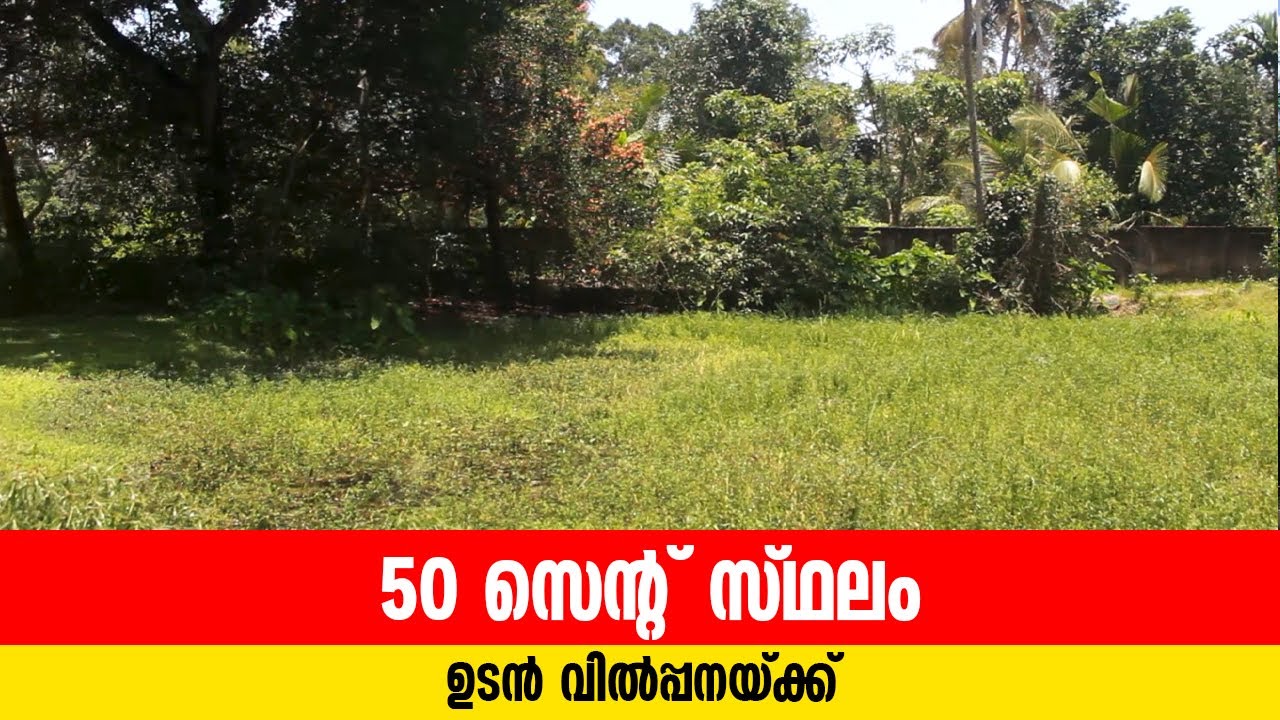 50 Cent Land for Sale in Cherthala  Alappuzha |subha kumar alpy 13 09 2025