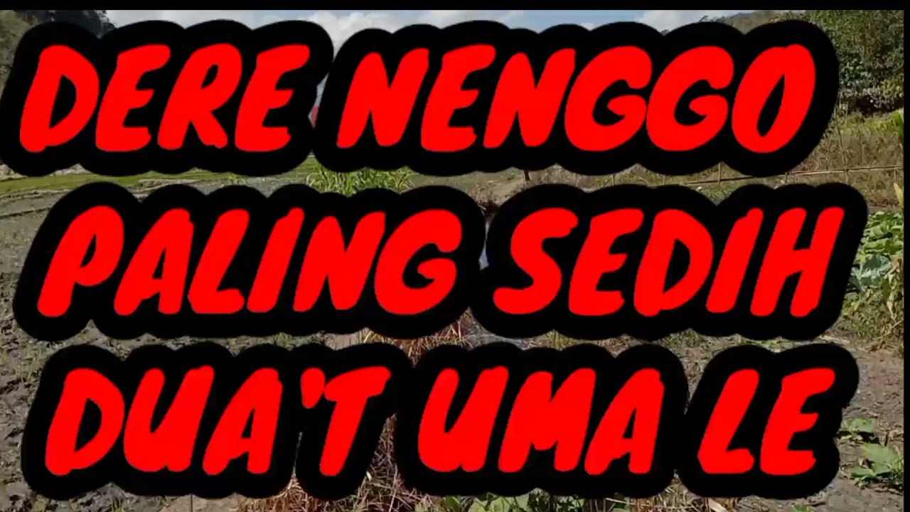 LAGU MANGGARAI TIMUR TERBARU PALING SEDIH //DUA'T UMA LE// Set Nenggo Ata Mukun
