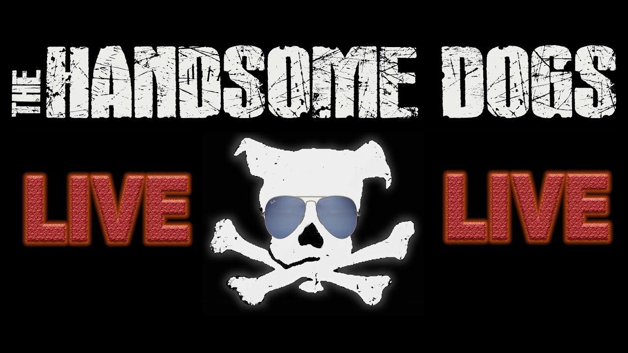 The Handsome Dogs live @ WWOA 2019