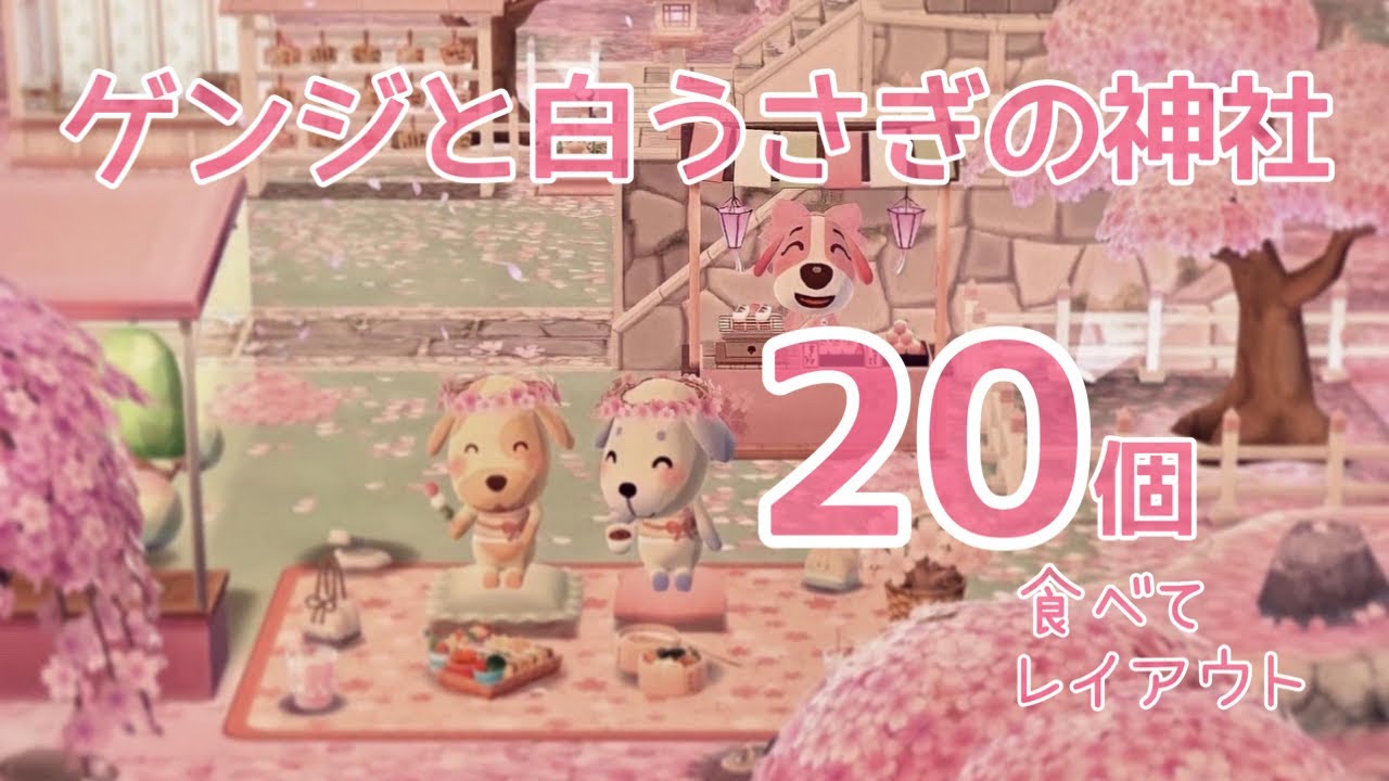 今日発売ゲンジと白うさぎの神社のクッキー20個食べてキャンプ場レイアウトしました！