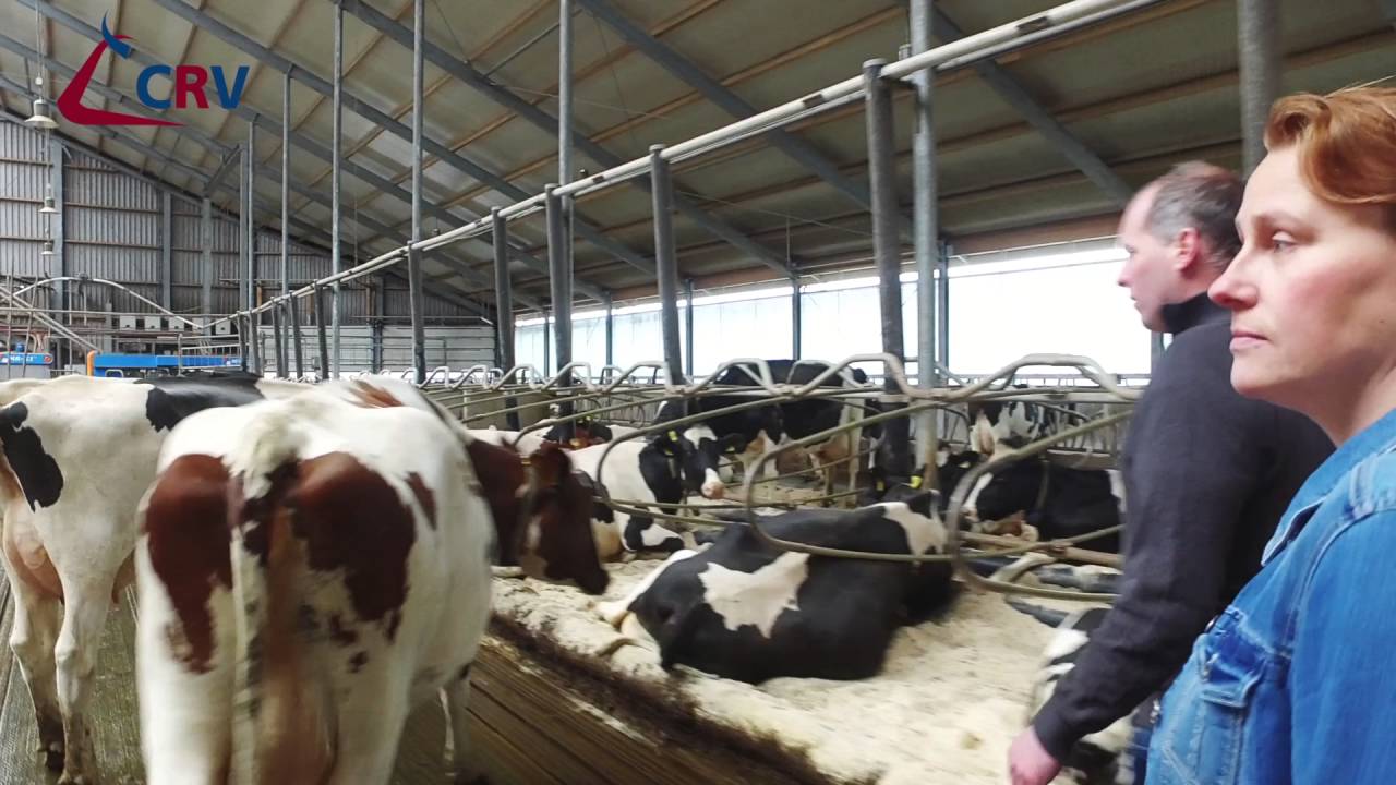 Finalist verkiezing Beste veestapel Van Erp