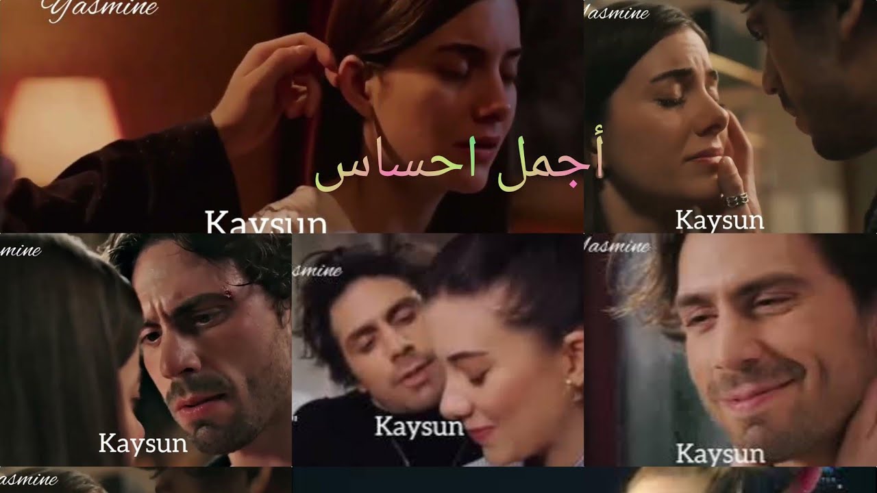 طائر الرفراف كايا سونا #كايسون إليسا أجمل احساس  Yali çapkini kaya suna #kaysun