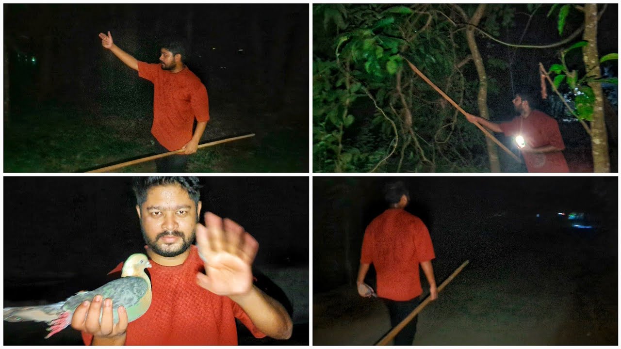 রাতের বেলা কবুতর পালিয়ে গেল ধরতে গেলাম কবুতর গুলো 😵‍💫