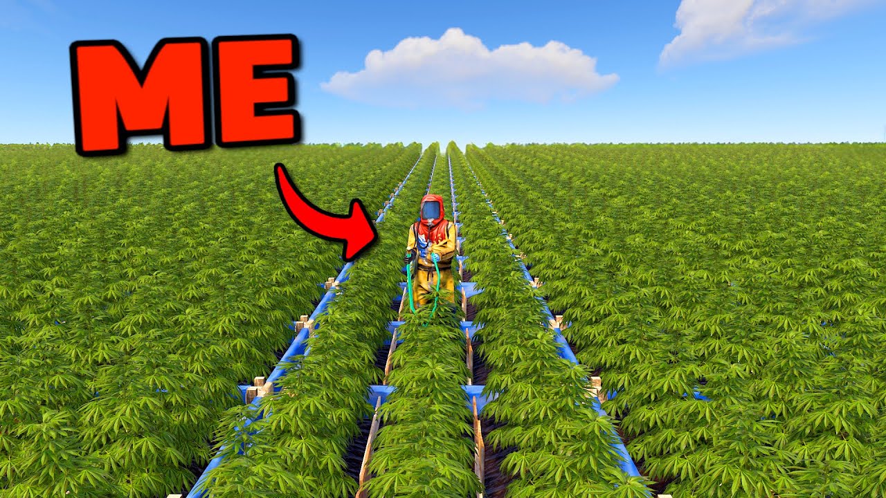 I Attempted To Build The Biggest Hemp Farm In Rust