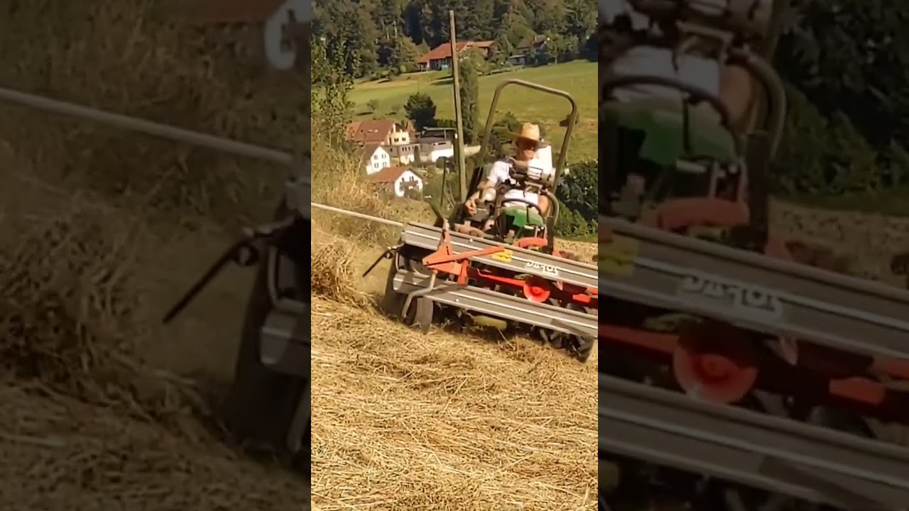 Schwaden mit Bandrechen Daros D180 und Traktor Ferrari Cromo K60 AR Rev