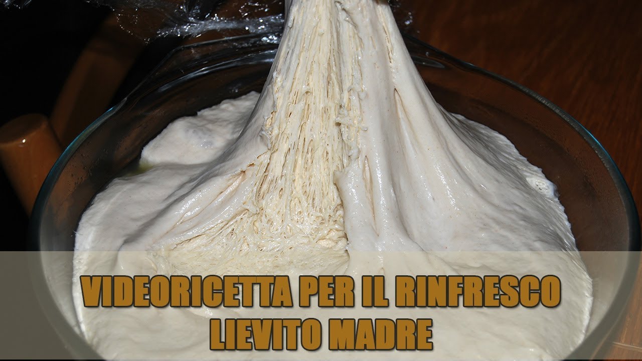 RINFRESCO LIEVITO MADRE VIDEORICETTA | MAGIE IN CUCINA