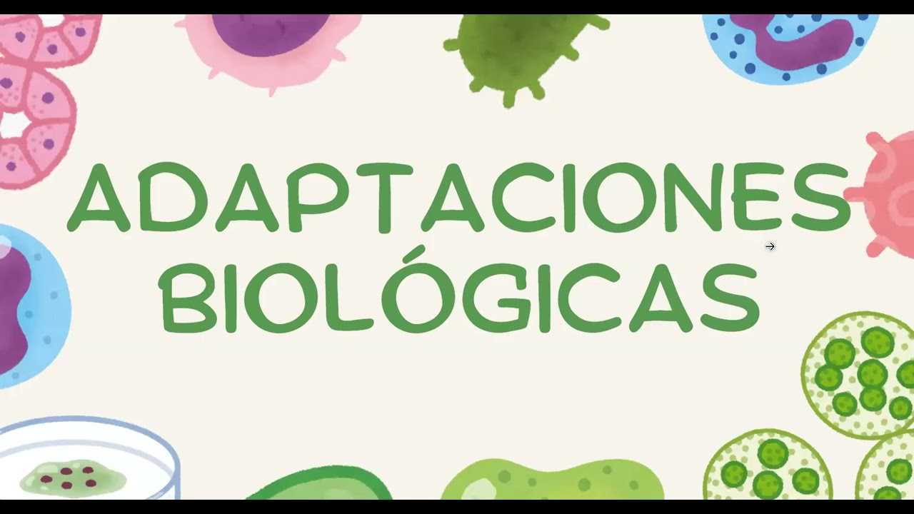 ASOCIACIONES Y ADAPTACIONES BIOLÓGICAS - PARASITOLOGÍA SEMANA 2