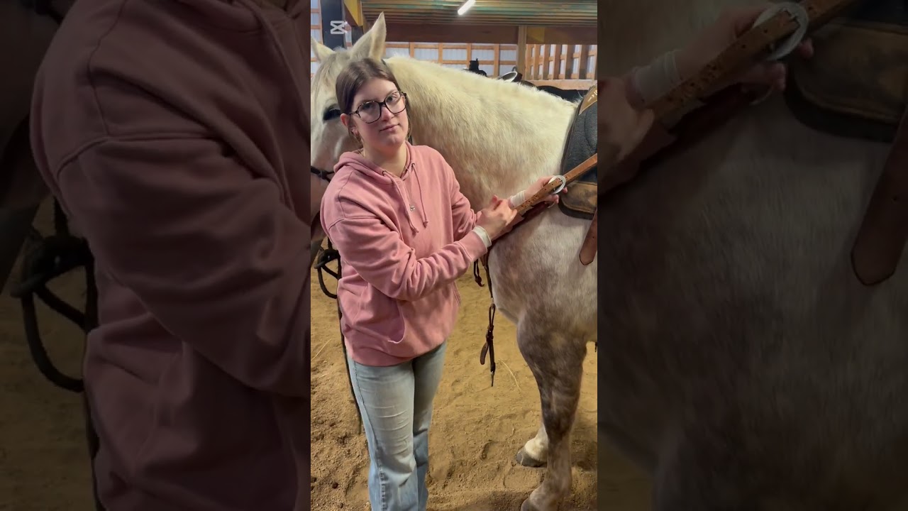 How to saddle and unsaddle a horse