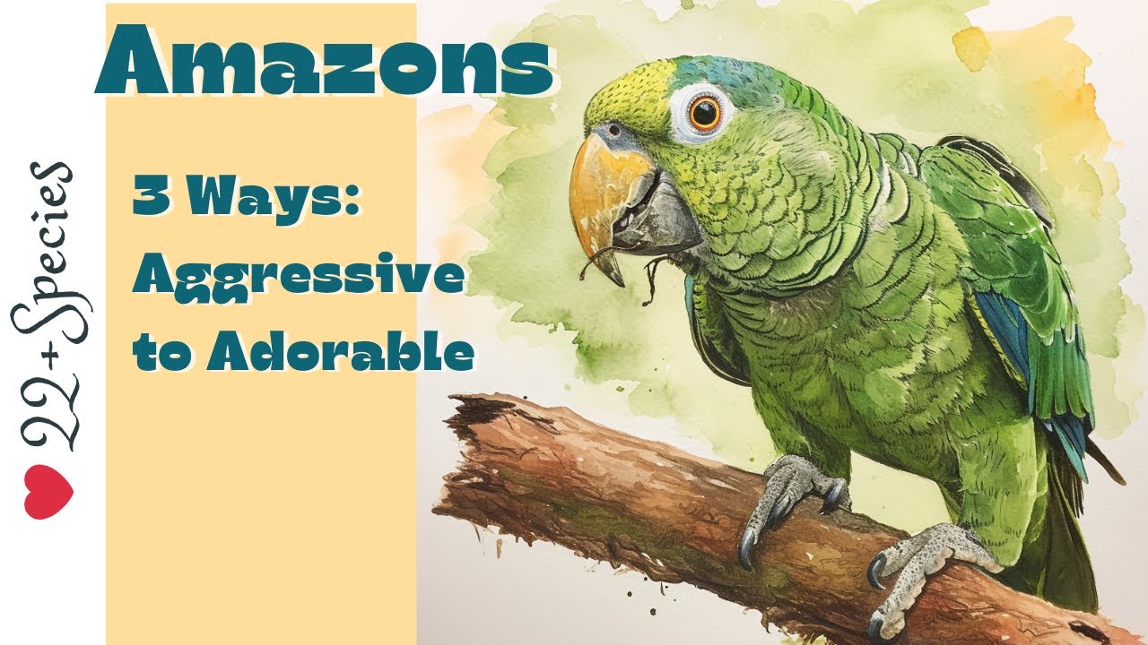Aggressive, Adopted Amazons- Can They Become Adorable Best Pets? | #parrot_bliss #amazonparrot