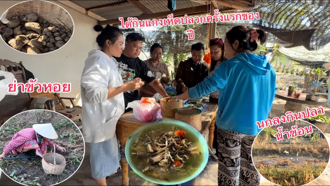 ไปดูย่าขัวหอย￼ ทำอาหารเช้าอาได้อาหารมากินรวมกันเยอะมาก/ໄປເບິ່ງຍ່າຂົວຫອຍ ອາໄດ້ຂອງກິນມາກິນລວມກັນຫລາຍໆ