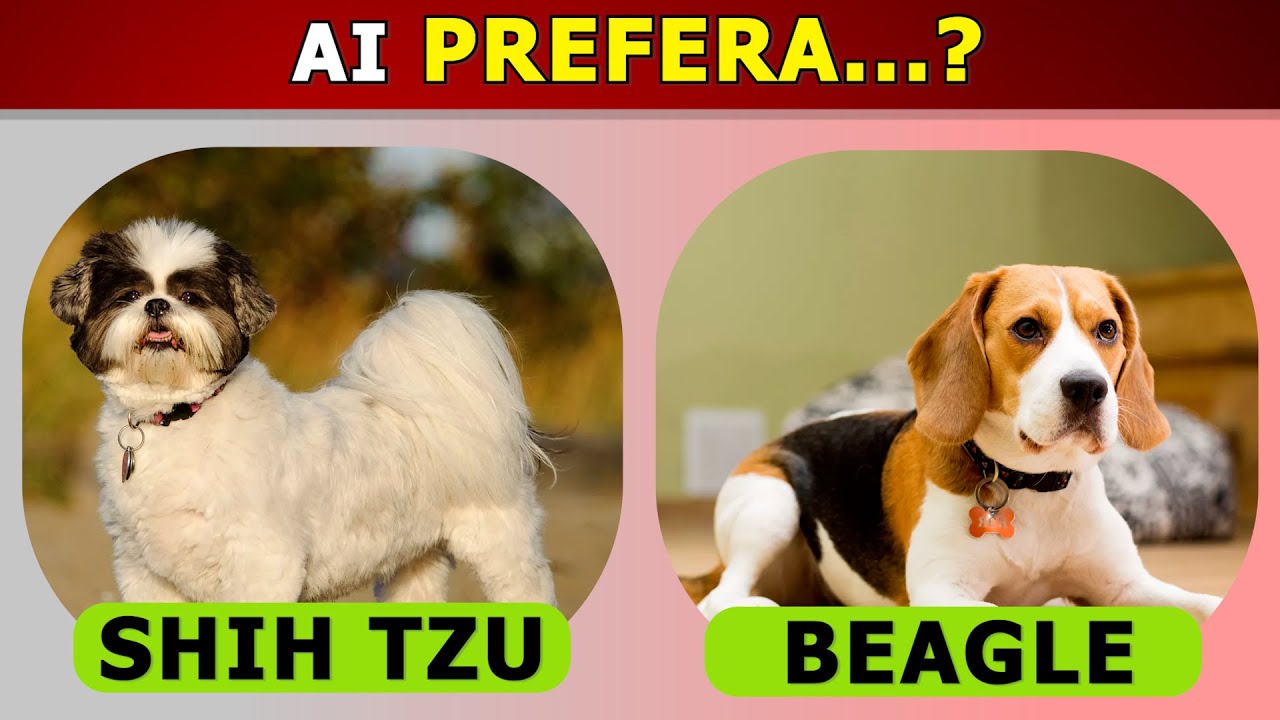 Quiz!✅ Ai prefera...? Ediția C&Acirc;INI 🐶