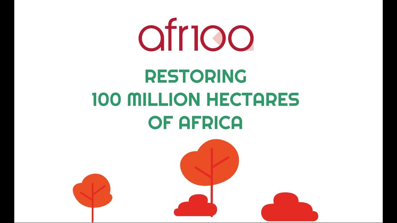 Creating a continental movement to restore Africa's degraded landscapes - AFR100