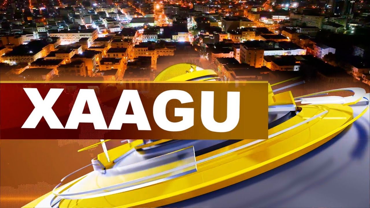XAAGU 19H DU 03/02/2026