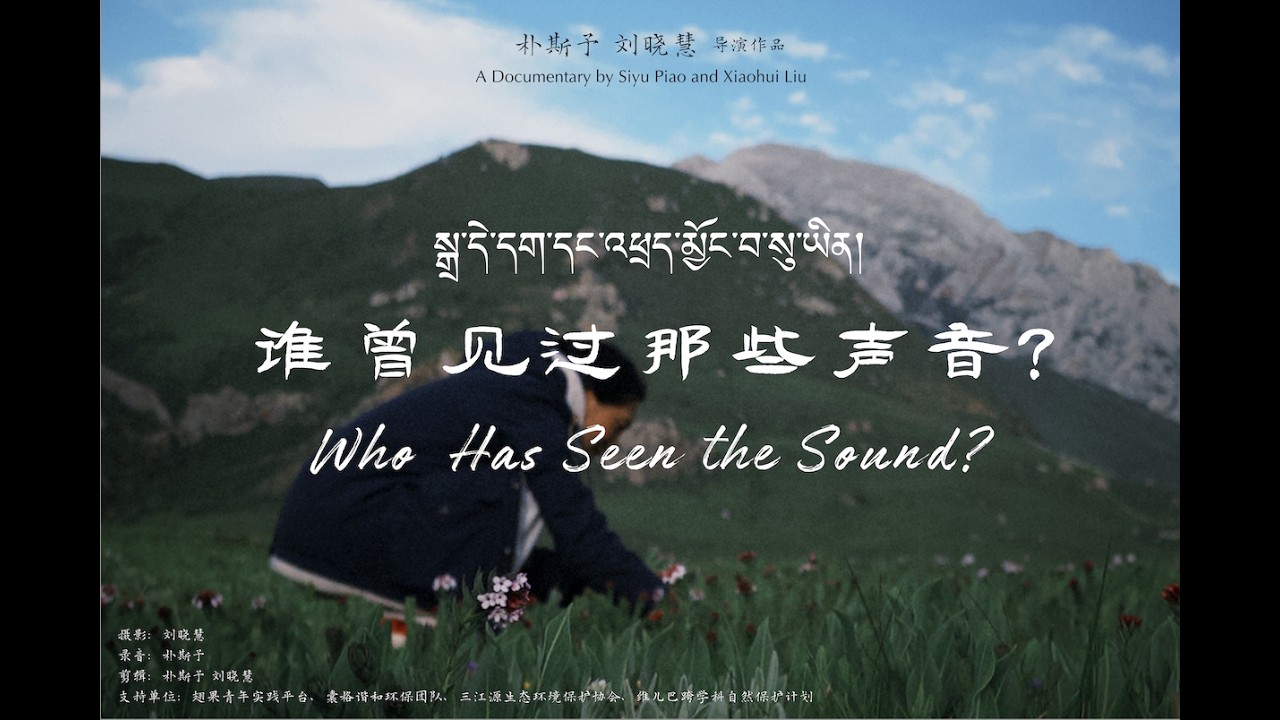 Trailer - Anthropology Film - Who has seen the sounds?