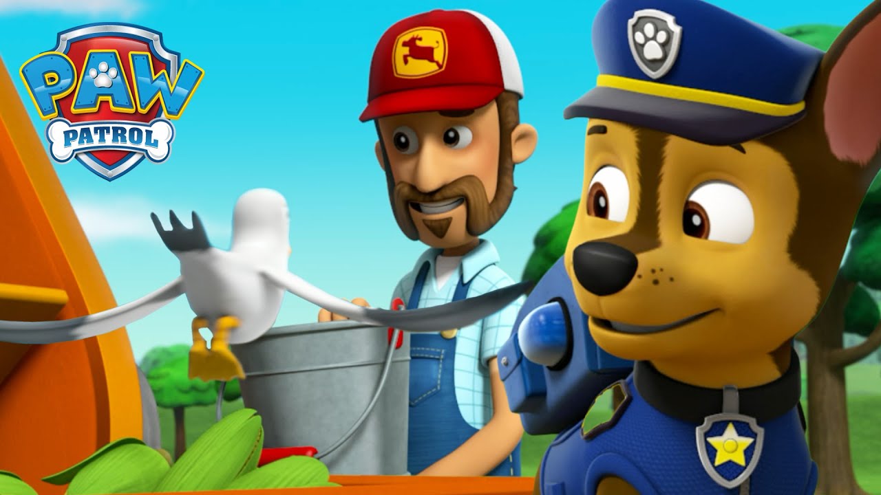 Los cachorros salvan el depósito de maíz del granjero Al de las aves hambrientas  PAW Patrol Español