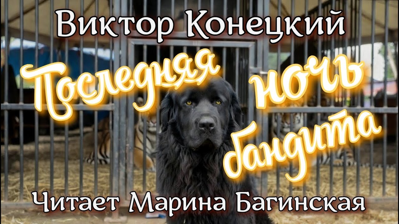 Аудиокнига Виктор Конецкий - "Последняя ночь бандита". Читает Марина Багинская